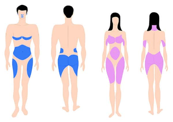 atp science estrogen dominance in men and women